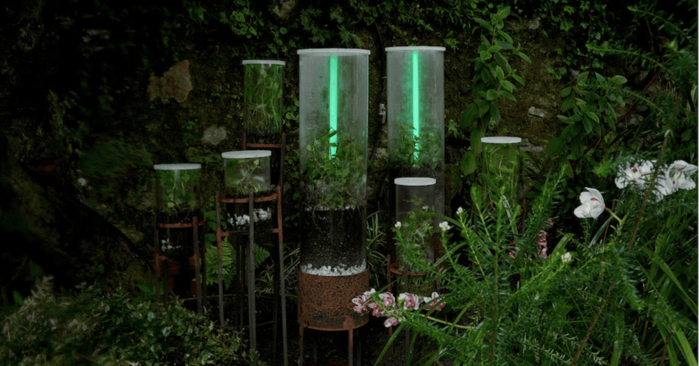 Exposición en Cal State LA fusionó arte y ciencia para revelar los secretos ocultos de los pastos